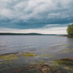 lake ladoga eel camera footage